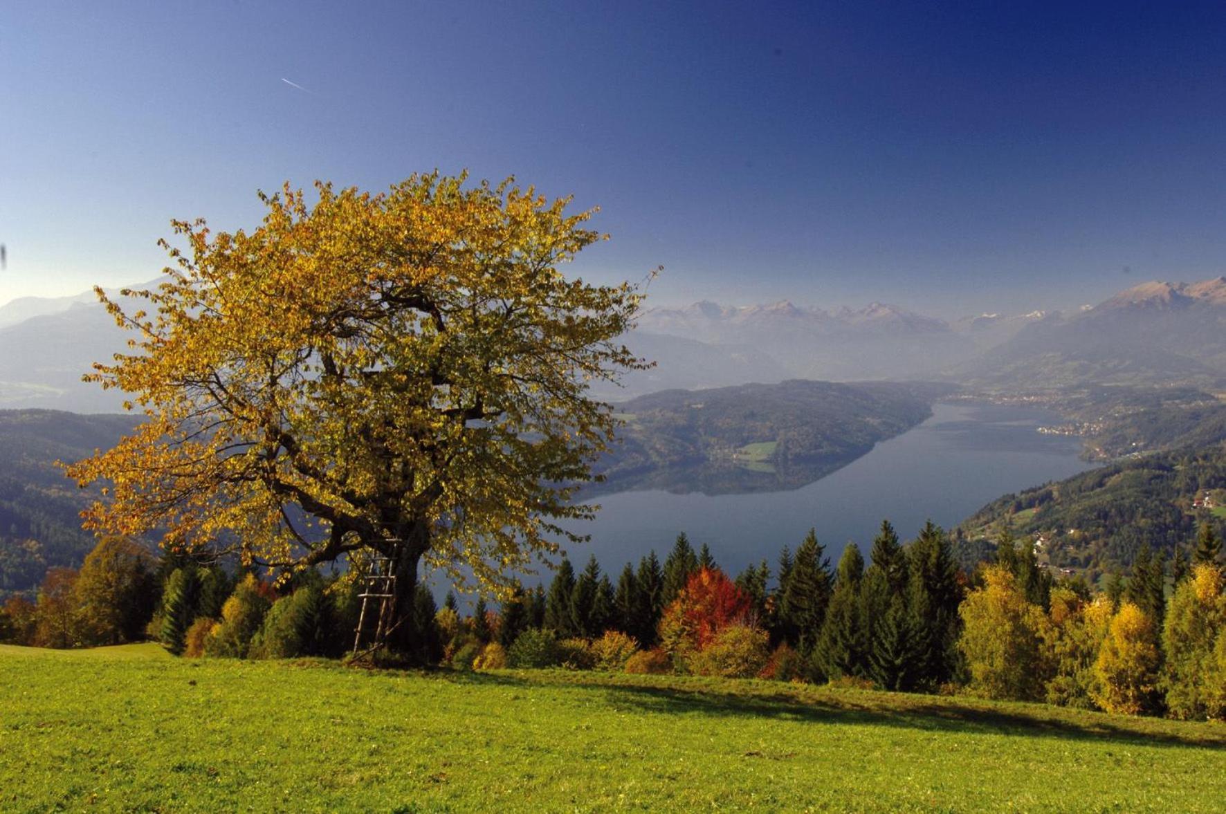 Gasthof Pension Perauer Lieserhofen Екстер'єр фото